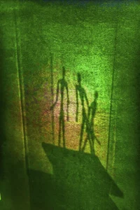 Still life Robert Hue