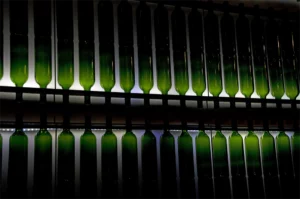 Vin-de-loire_©J.Blanchon